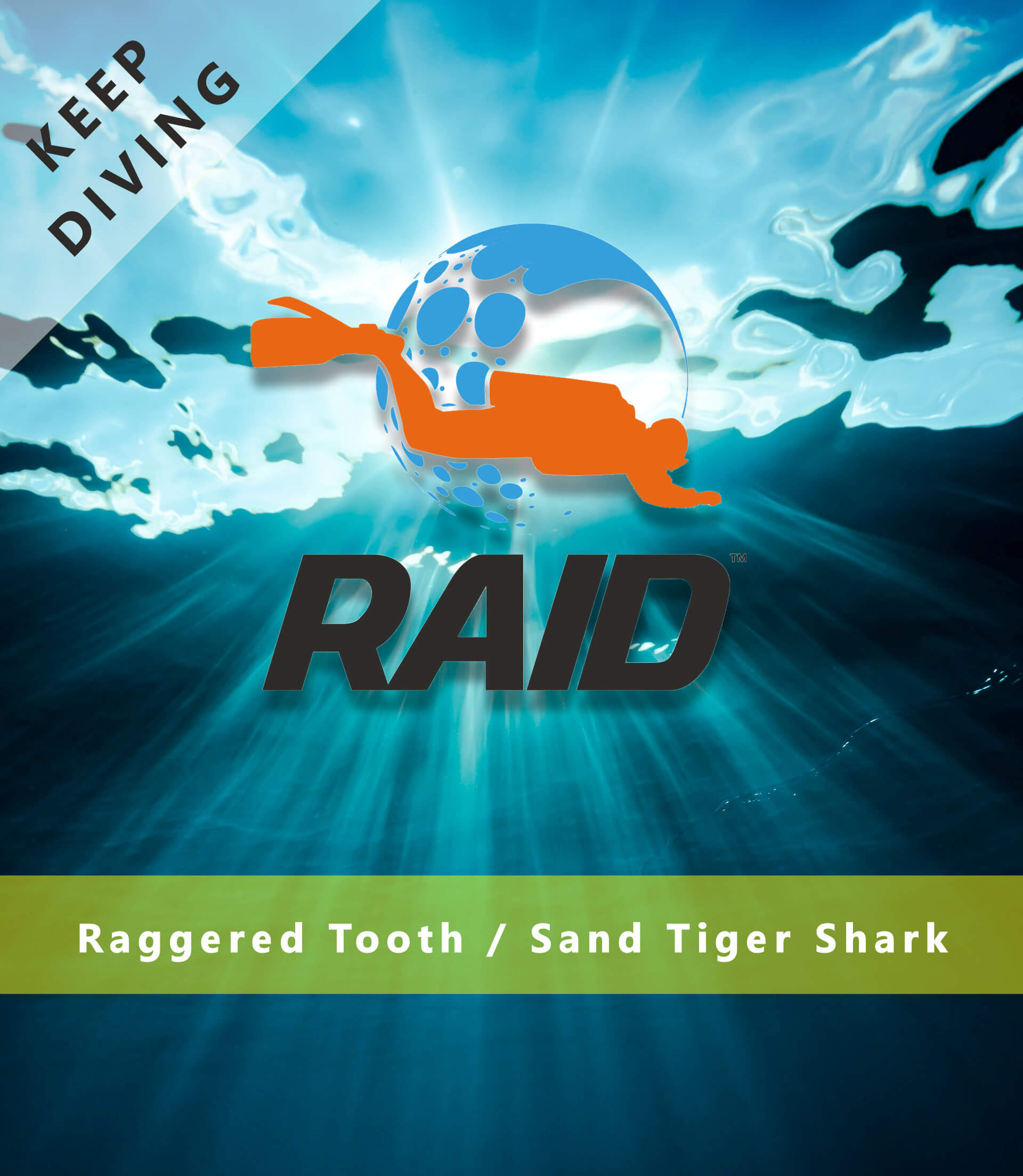 Keep Diving / Raggered Tooth - Sand Tiger Shark - RAID International Scuba Diving Course